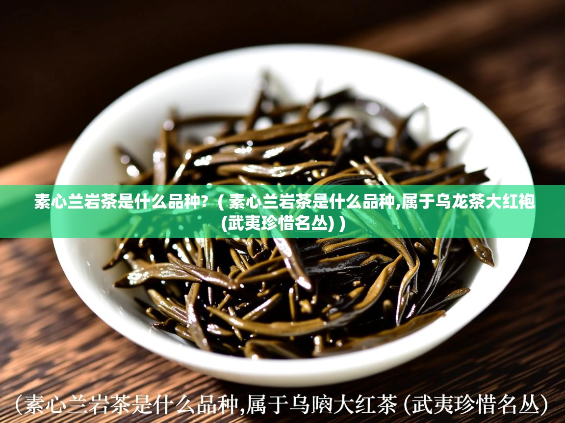 素心兰岩茶是什么品种?  ( 素心兰岩茶是什么品种,属于乌龙茶大红袍(武夷珍惜名丛) )  素心兰岩茶是什么品种?  ( 素心兰岩茶是什么品种,属于乌龙茶大红袍(武夷珍惜名丛) )