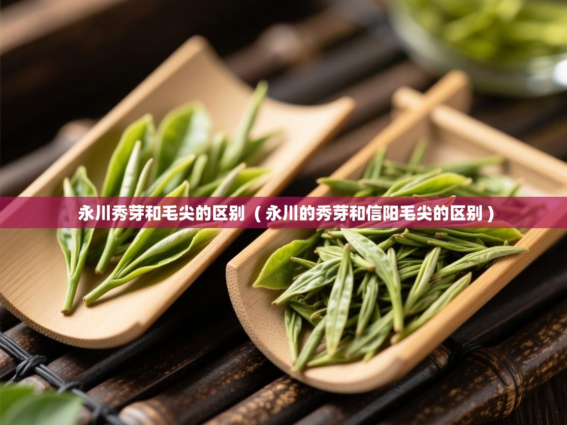  永川秀芽和毛尖的区别  ( 永川的秀芽和信阳毛尖的区别 )