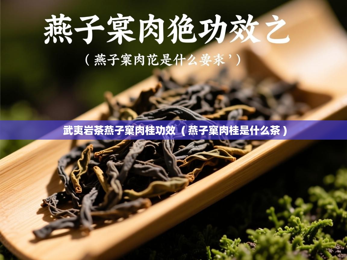  武夷岩茶燕子窠肉桂功效  ( 燕子窠肉桂是什么茶 )