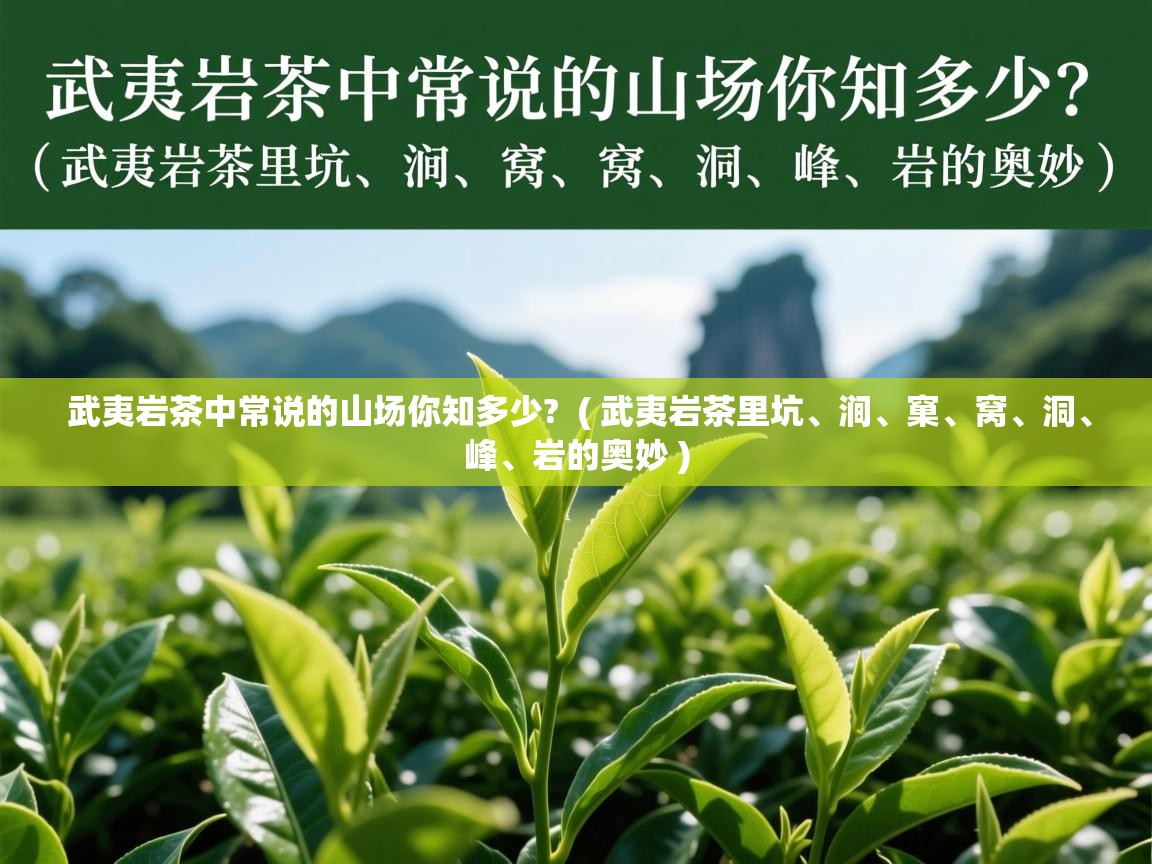  武夷岩茶中常说的山场你知多少?  ( 武夷岩茶里坑、涧、窠、窝、洞、峰、岩的奥妙 )