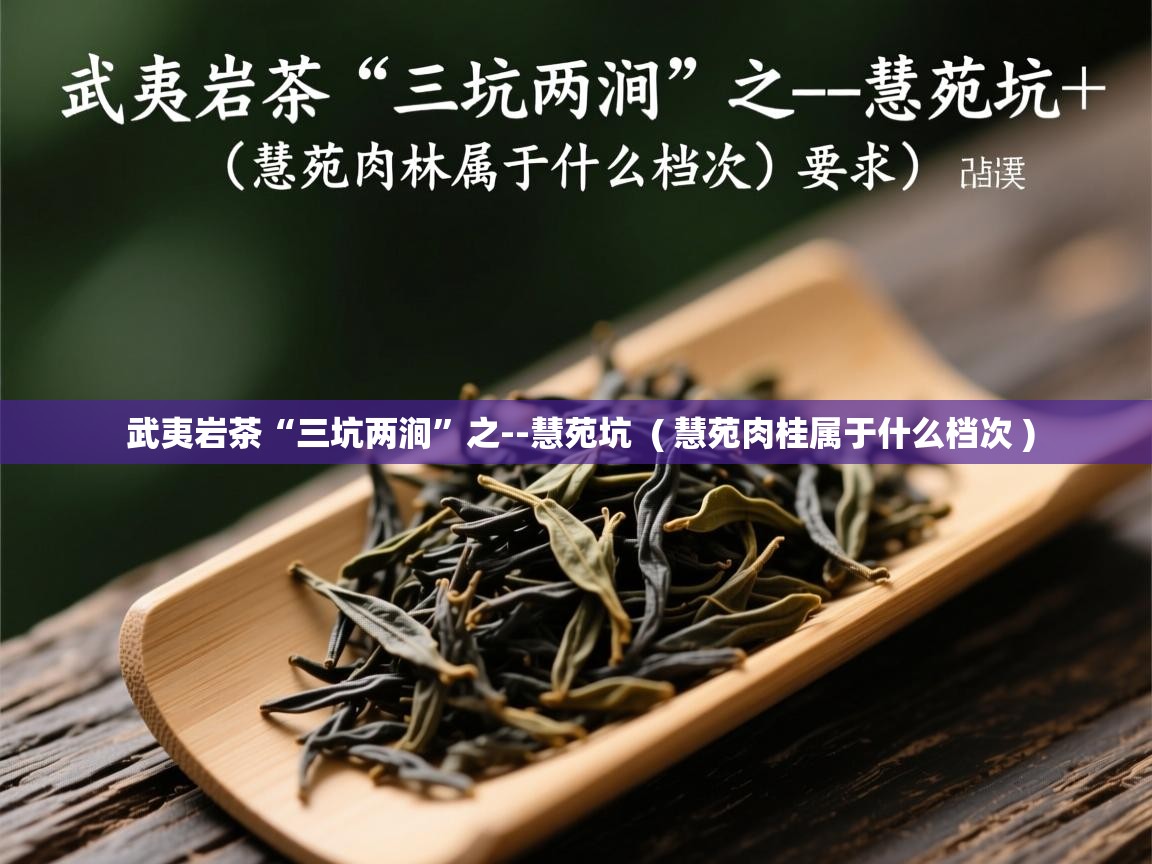 详细阅读: 武夷岩茶“三坑两涧”之--慧苑坑  ( 慧苑肉桂属于什么档次 )  武夷岩茶“三坑两涧”之--慧苑坑  ( 慧苑肉桂属于什么档次 )