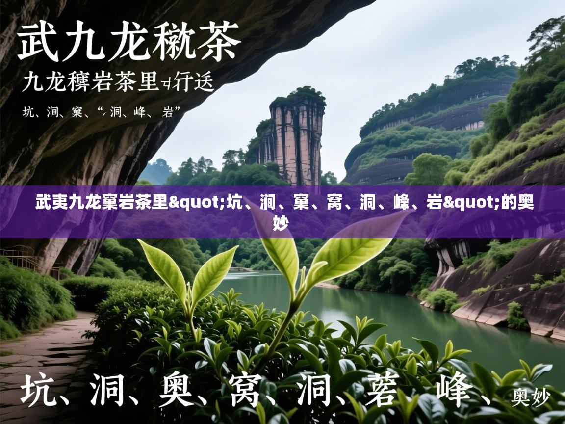  武夷九龙窠岩茶里"坑、涧、窠、窝、洞、峰、岩"的奥妙 