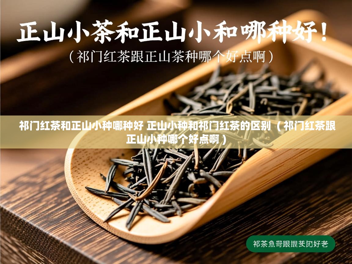  祁门红茶和正山小种哪种好 正山小种和祁门红茶的区别  ( 祁门红茶跟正山小种哪个好点啊 )