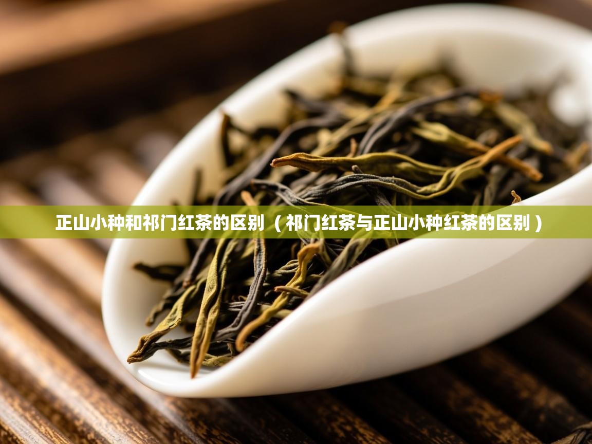  正山小种和祁门红茶的区别  ( 祁门红茶与正山小种红茶的区别 )