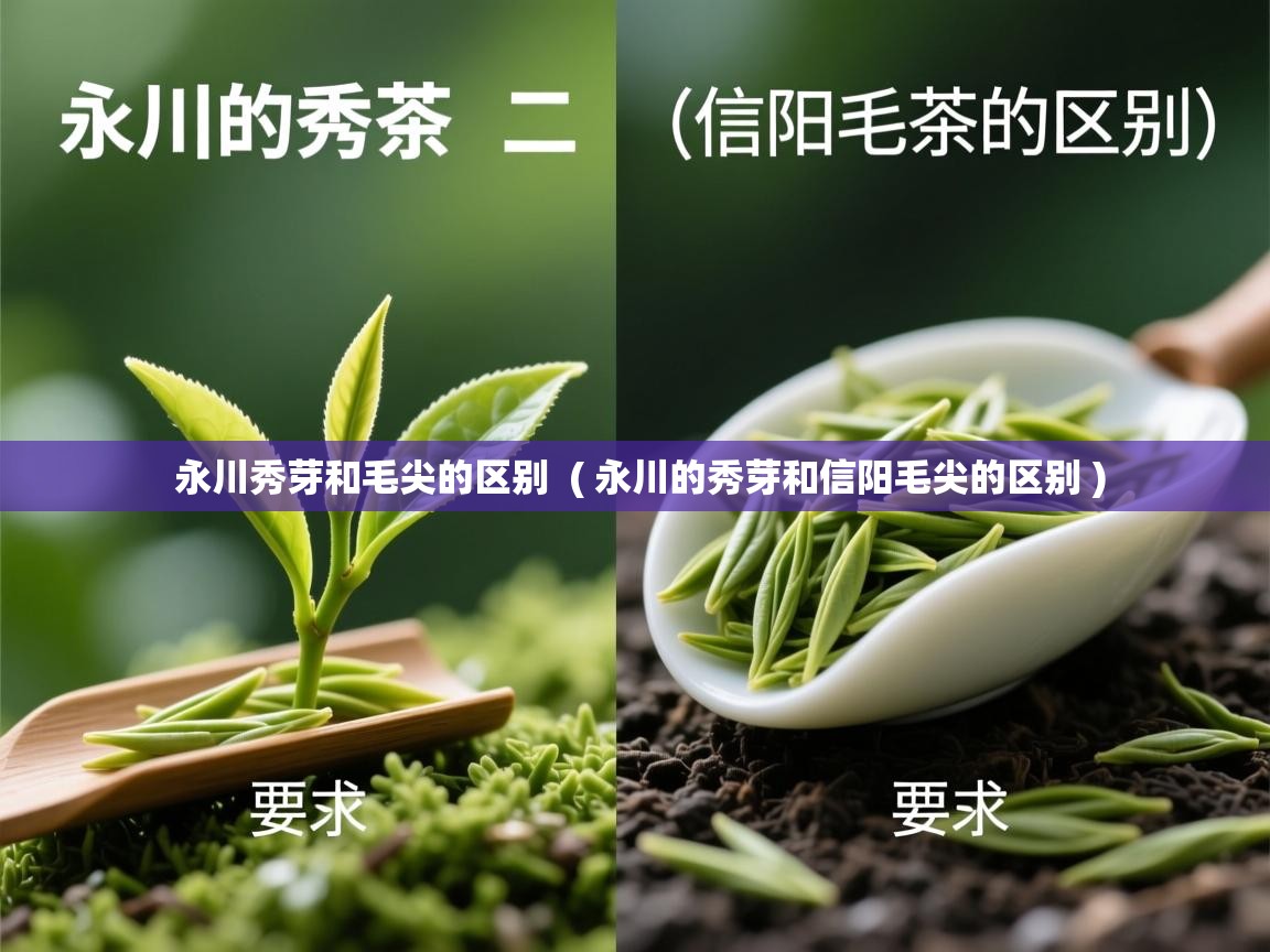  永川秀芽和毛尖的区别  ( 永川的秀芽和信阳毛尖的区别 )