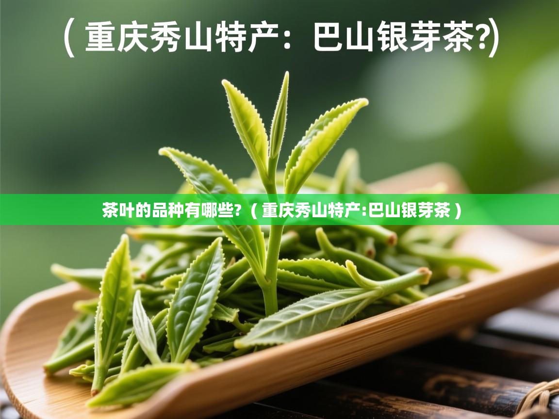  茶叶的品种有哪些?  ( 重庆秀山特产:巴山银芽茶 )