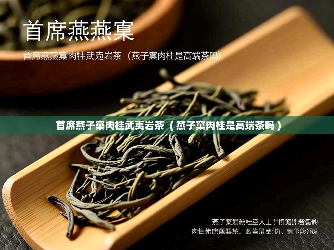  首席燕子窠肉桂武夷岩茶  ( 燕子窠肉桂是高端茶吗 )