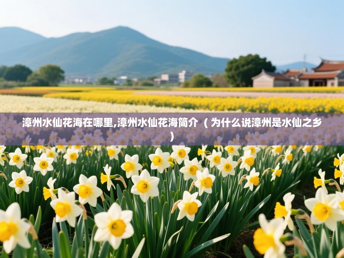  漳州水仙花海在哪里,漳州水仙花海简介  ( 为什么说漳州是水仙之乡 )