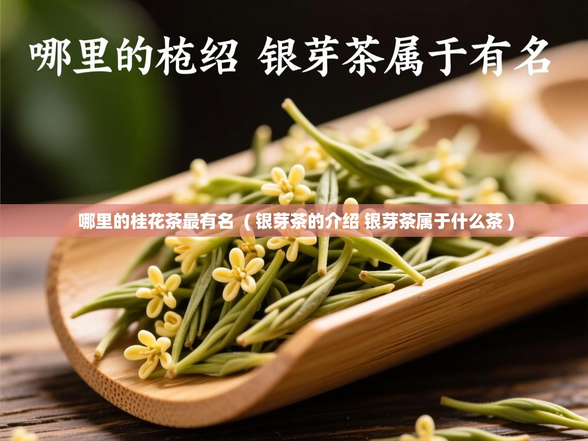  哪里的桂花茶最有名  ( 银芽茶的介绍 银芽茶属于什么茶 )
