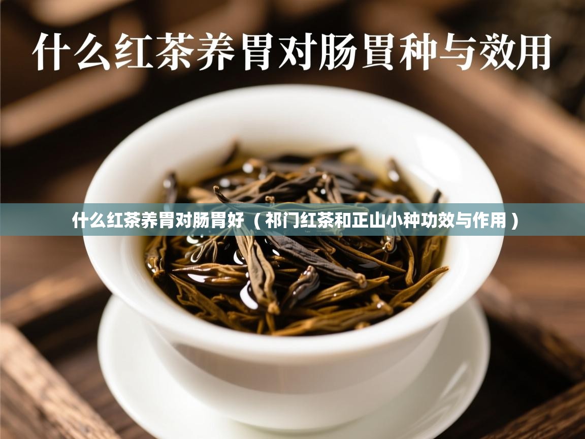  什么红茶养胃对肠胃好  ( 祁门红茶和正山小种功效与作用 )