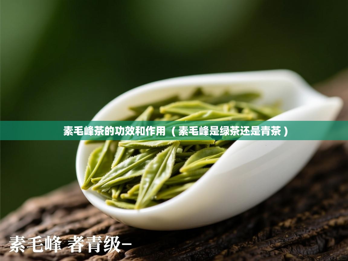  素毛峰茶的功效和作用  ( 素毛峰是绿茶还是青茶 )