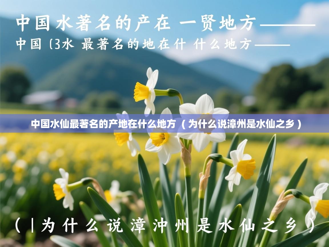  中国水仙最著名的产地在什么地方  ( 为什么说漳州是水仙之乡 )