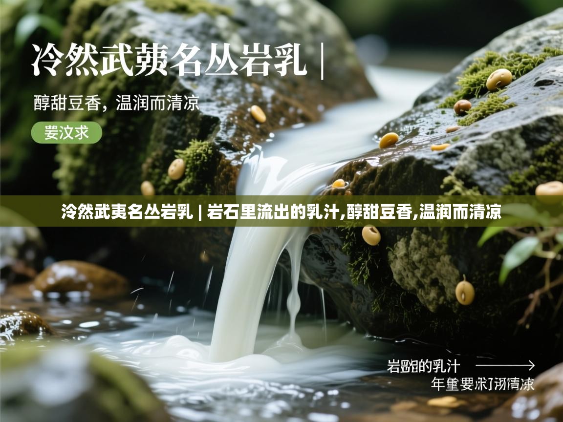  泠然武夷名丛岩乳 | 岩石里流出的乳汁,醇甜豆香,温润而清凉 