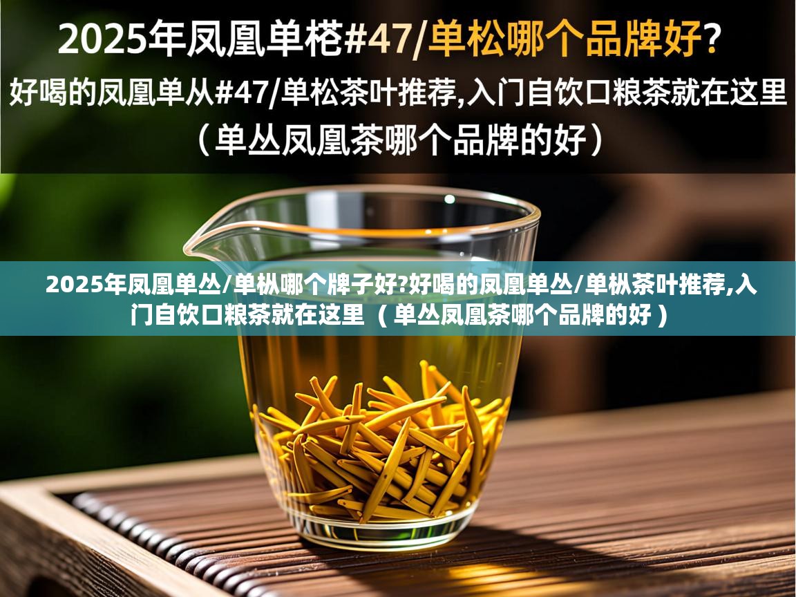 详细阅读: 2025年凤凰单丛/单枞哪个牌子好?好喝的凤凰单丛/单枞茶叶推荐,入门自饮口粮茶就在这里  ( 单丛凤凰茶哪个品牌的好 )  2025年凤凰单丛/单枞哪个牌子好?好喝的凤凰单丛/单枞茶叶推荐,入门自饮口粮茶就在这里  ( 单丛凤凰茶哪个品牌的好 )