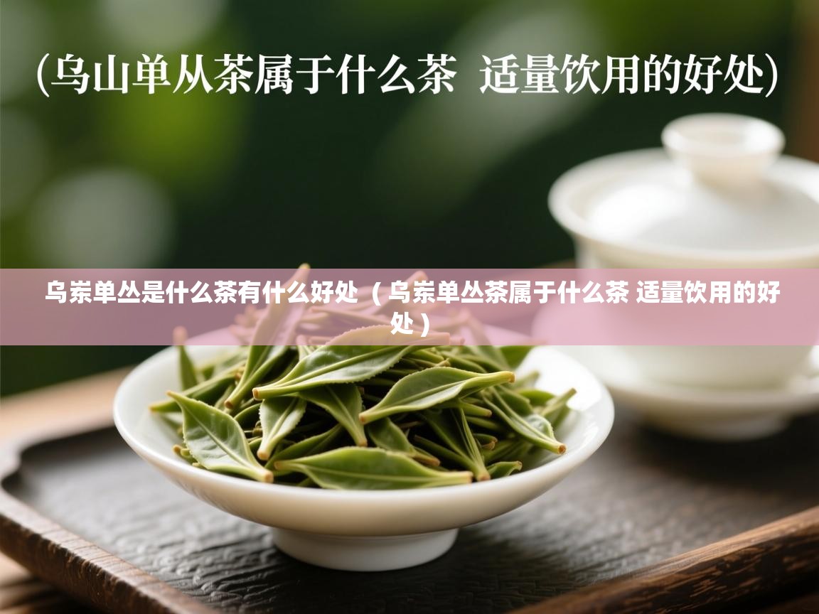 详细阅读: 乌岽单丛是什么茶有什么好处  ( 乌岽单丛茶属于什么茶 适量饮用的好处 )  乌岽单丛是什么茶有什么好处  ( 乌岽单丛茶属于什么茶 适量饮用的好处 )