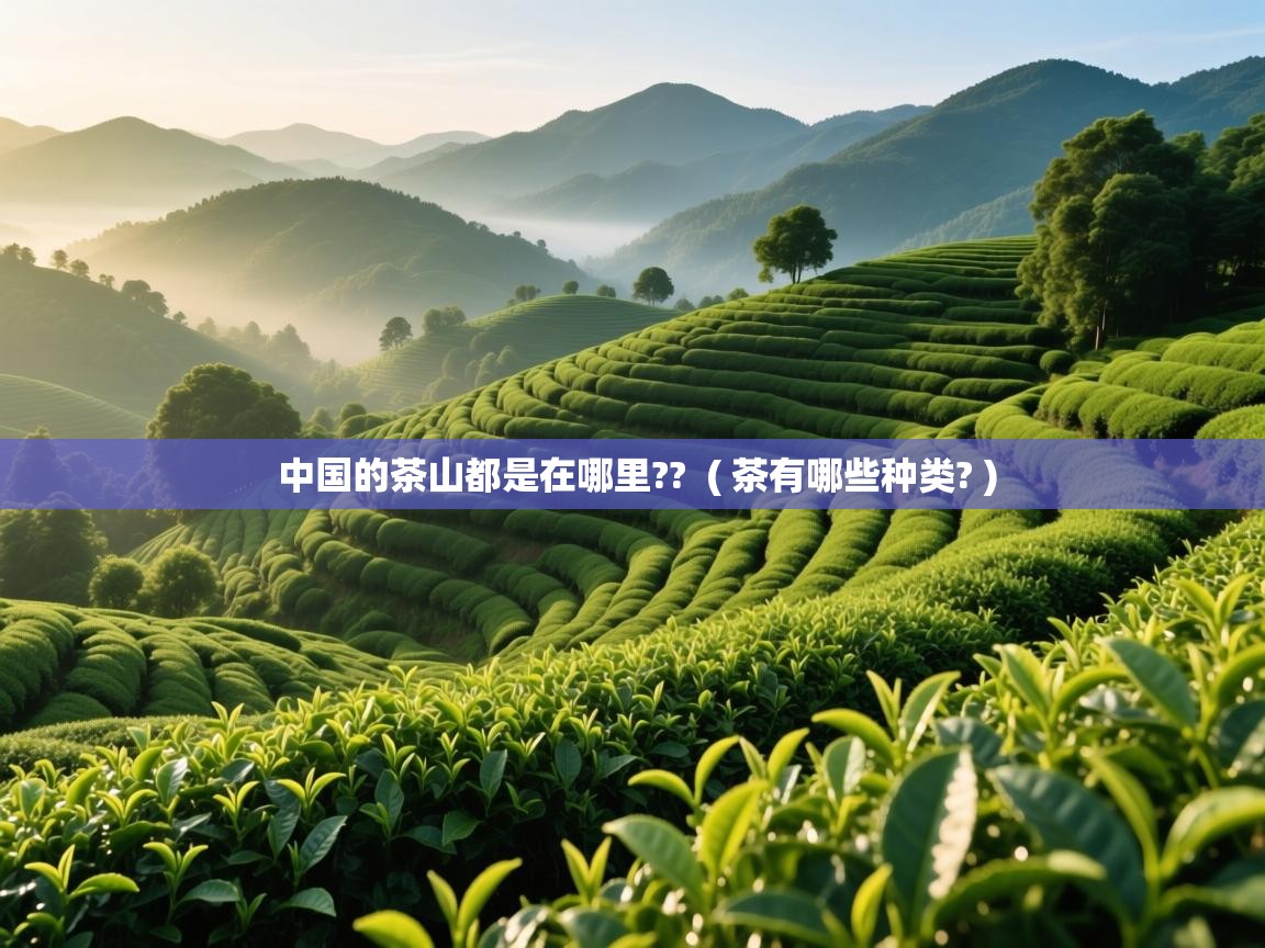 中国的茶山都是在哪里?? ( 茶有哪些种类? ) 中国的茶山都是在哪里?? ( 茶有哪些种类? )