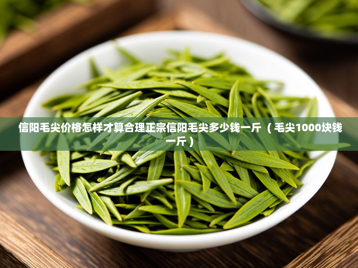  信阳毛尖价格怎样才算合理正宗信阳毛尖多少钱一斤  ( 毛尖1000块钱一斤 )