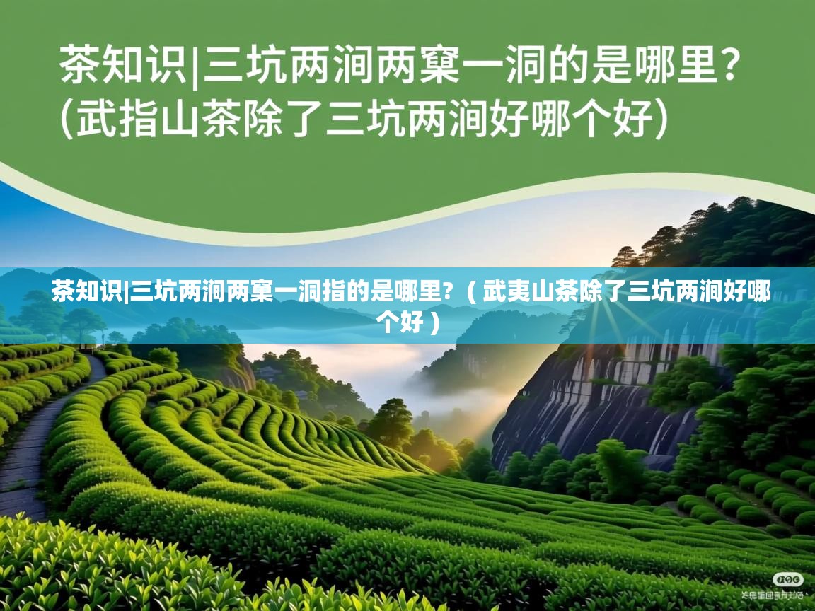  茶知识|三坑两涧两窠一洞指的是哪里?  ( 武夷山茶除了三坑两涧好哪个好 )