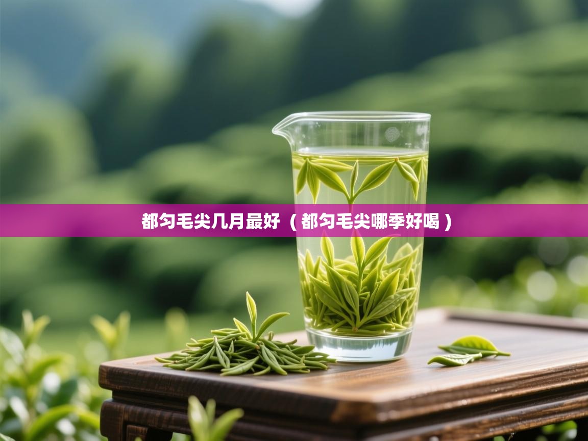  都匀毛尖几月最好  ( 都匀毛尖哪季好喝 )