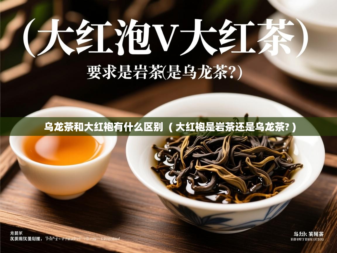  乌龙茶和大红袍有什么区别  ( 大红袍是岩茶还是乌龙茶? )
