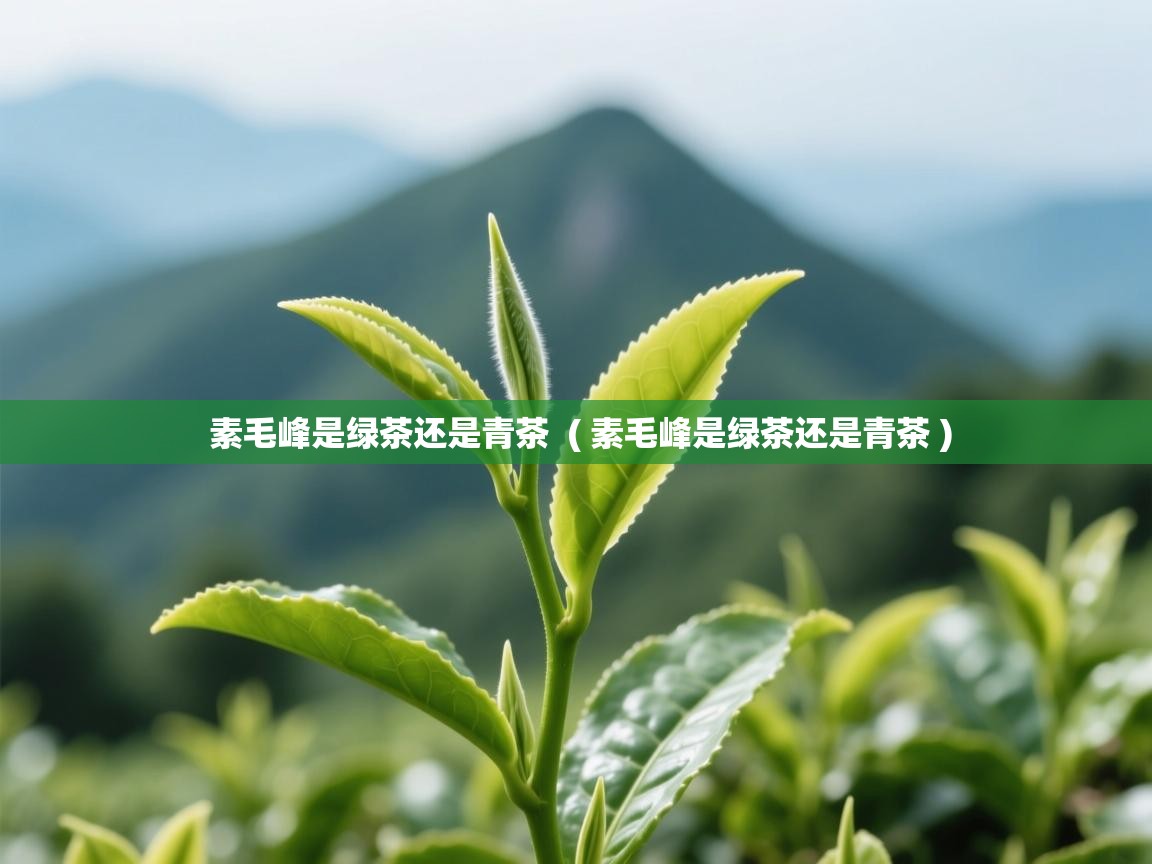  素毛峰是绿茶还是青茶  ( 素毛峰是绿茶还是青茶 )