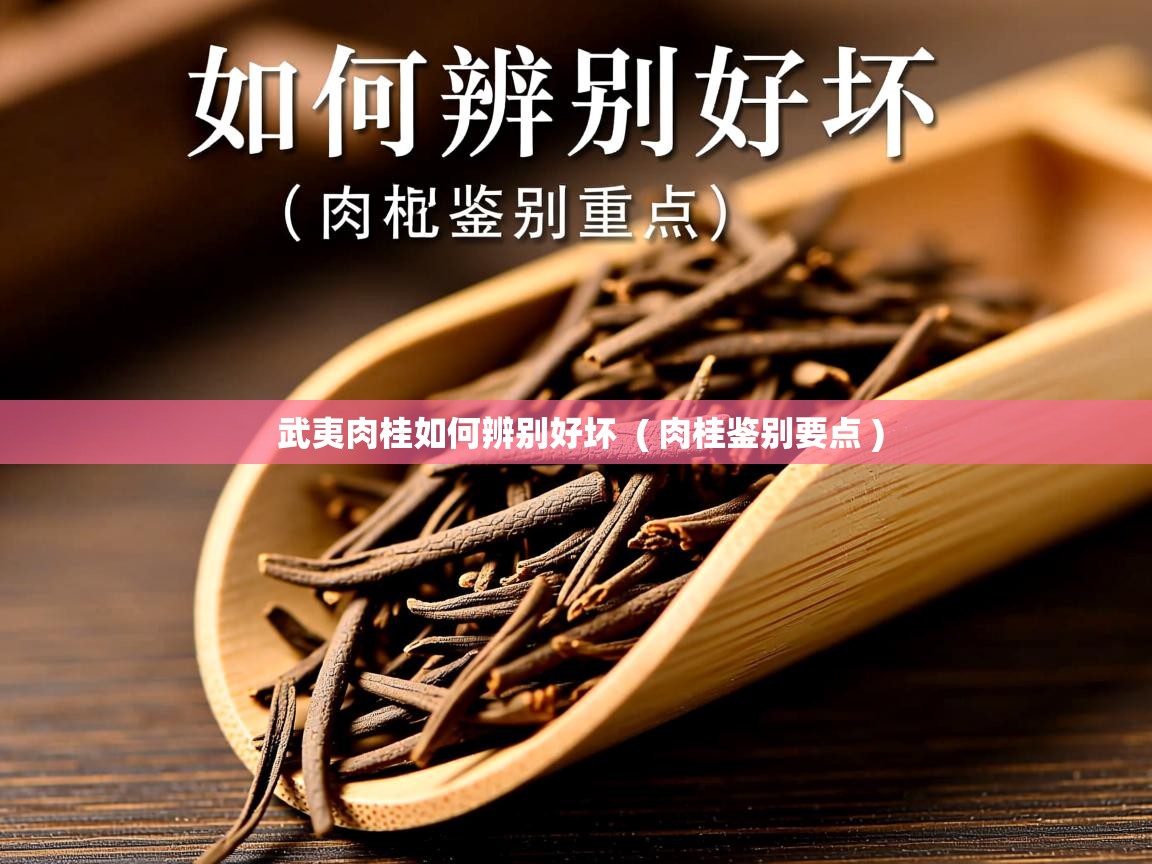  武夷肉桂如何辨别好坏  ( 肉桂鉴别要点 )