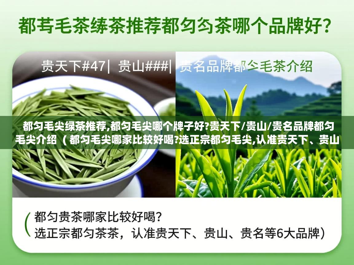  都匀毛尖绿茶推荐,都匀毛尖哪个牌子好?贵天下/贵山/贵名品牌都匀毛尖介绍  ( 都匀毛尖哪家比较好喝?选正宗都匀毛尖,认准贵天下、贵山、贵名等6大品牌 )