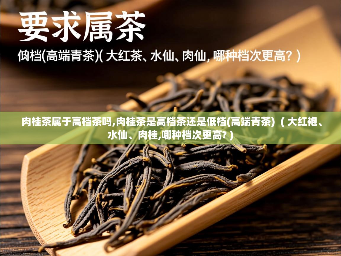  肉桂茶属于高档茶吗,肉桂茶是高档茶还是低档(高端青茶)  ( 大红袍、水仙、肉桂,哪种档次更高? )