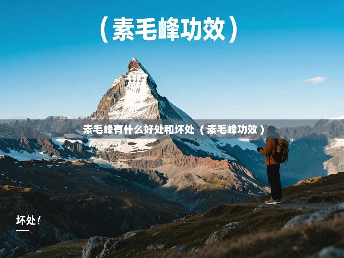  素毛峰有什么好处和坏处  ( 素毛峰功效 )