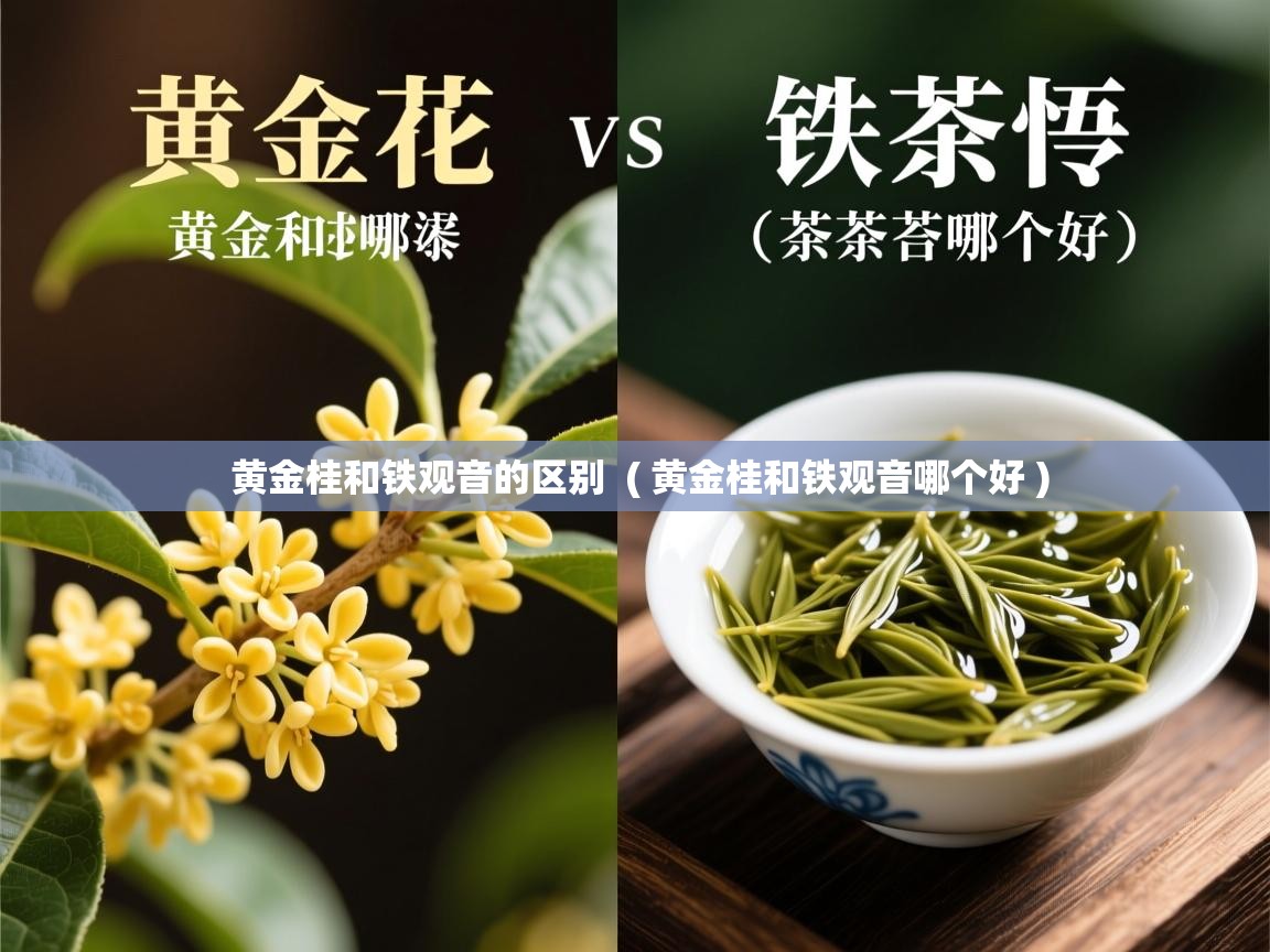  黄金桂和铁观音的区别  ( 黄金桂和铁观音哪个好 )