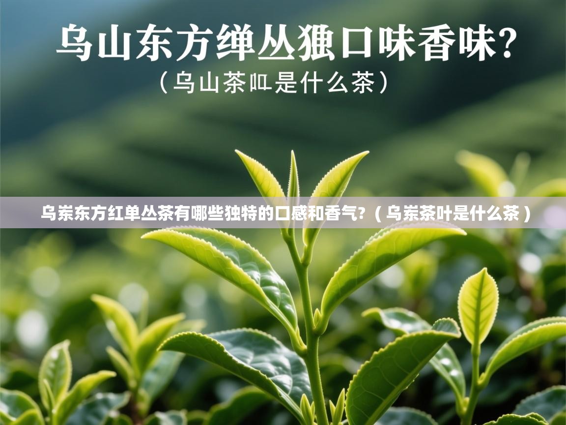 详细阅读: 乌岽东方红单丛茶有哪些独特的口感和香气?  ( 乌岽茶叶是什么茶 )  乌岽东方红单丛茶有哪些独特的口感和香气?  ( 乌岽茶叶是什么茶 )