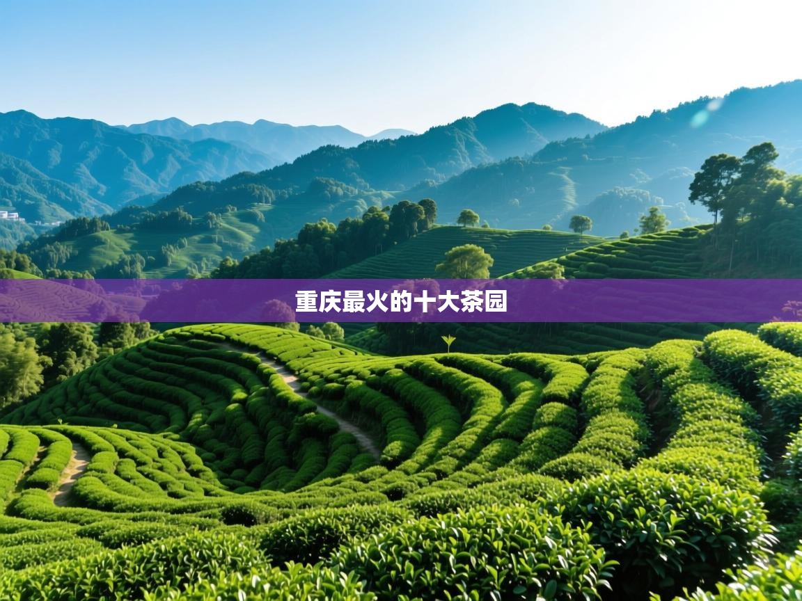  重庆最火的十大茶园 