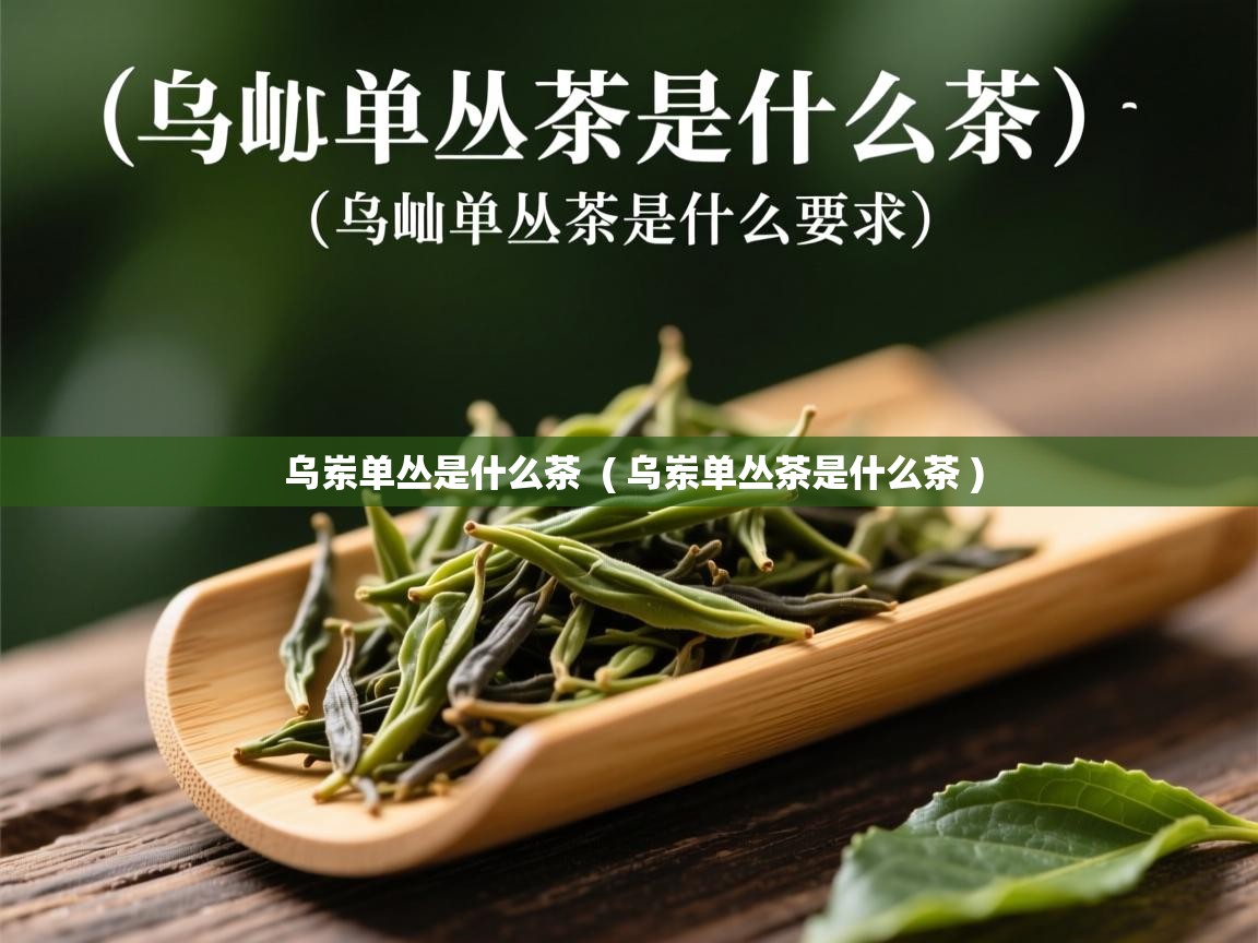 详细阅读: 乌岽单丛是什么茶  ( 乌岽单丛茶是什么茶 )  乌岽单丛是什么茶  ( 乌岽单丛茶是什么茶 )