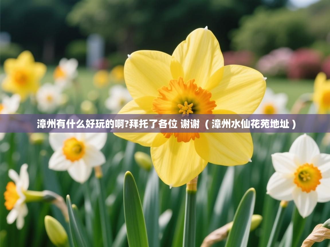  漳州有什么好玩的啊?拜托了各位 谢谢  ( 漳州水仙花苑地址 )