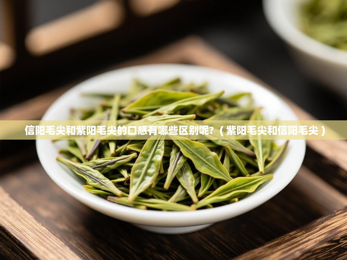  信阳毛尖和紫阳毛尖的口感有哪些区别呢?  ( 紫阳毛尖和信阳毛尖 )