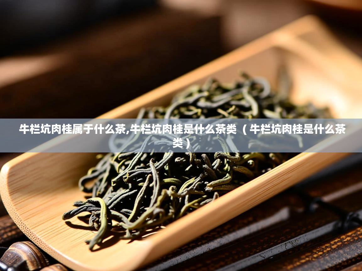  牛栏坑肉桂属于什么茶,牛栏坑肉桂是什么茶类  ( 牛栏坑肉桂是什么茶类 )
