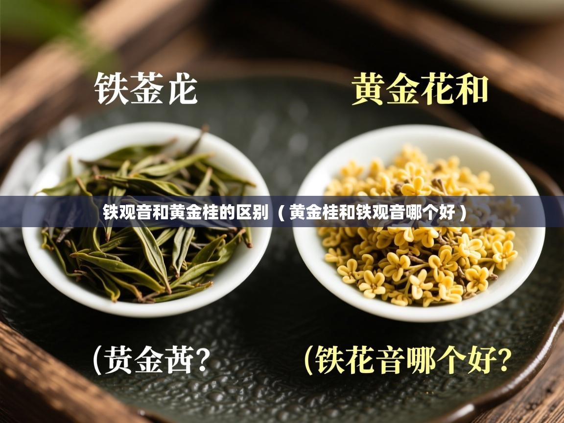  铁观音和黄金桂的区别  ( 黄金桂和铁观音哪个好 )