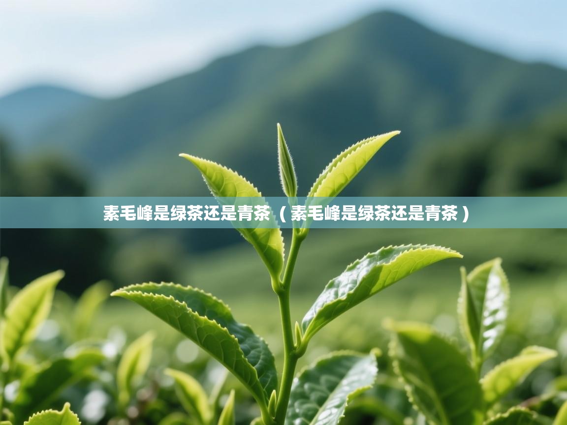  素毛峰是绿茶还是青茶  ( 素毛峰是绿茶还是青茶 )