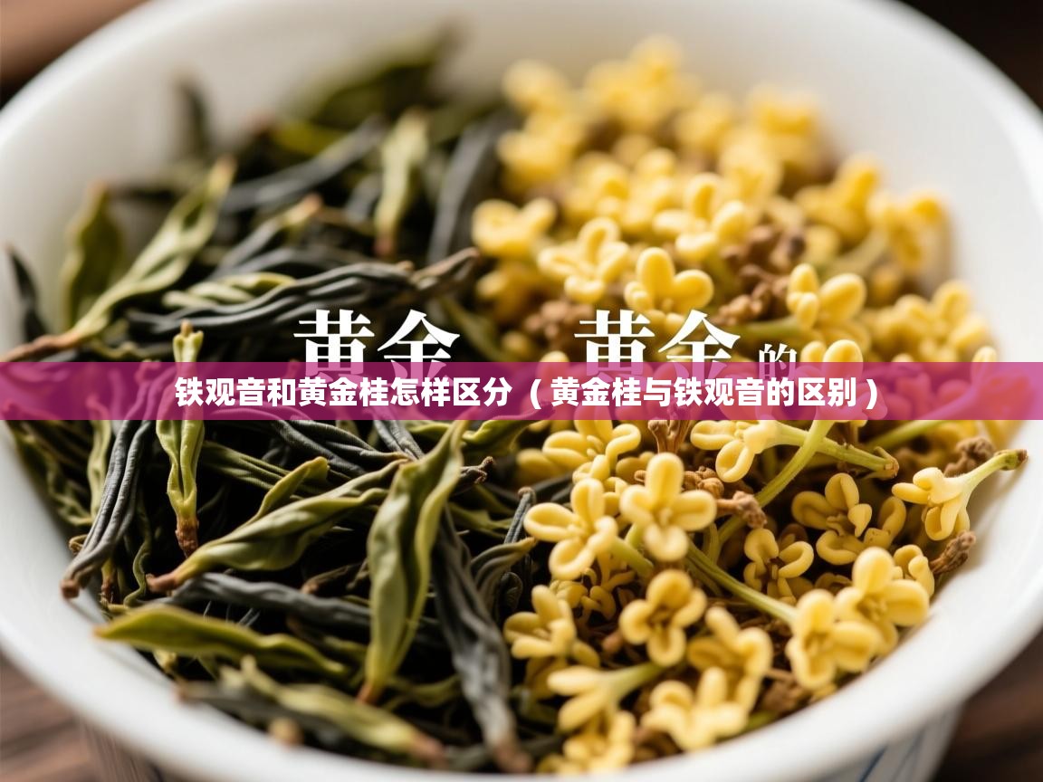  铁观音和黄金桂怎样区分  ( 黄金桂与铁观音的区别 )
