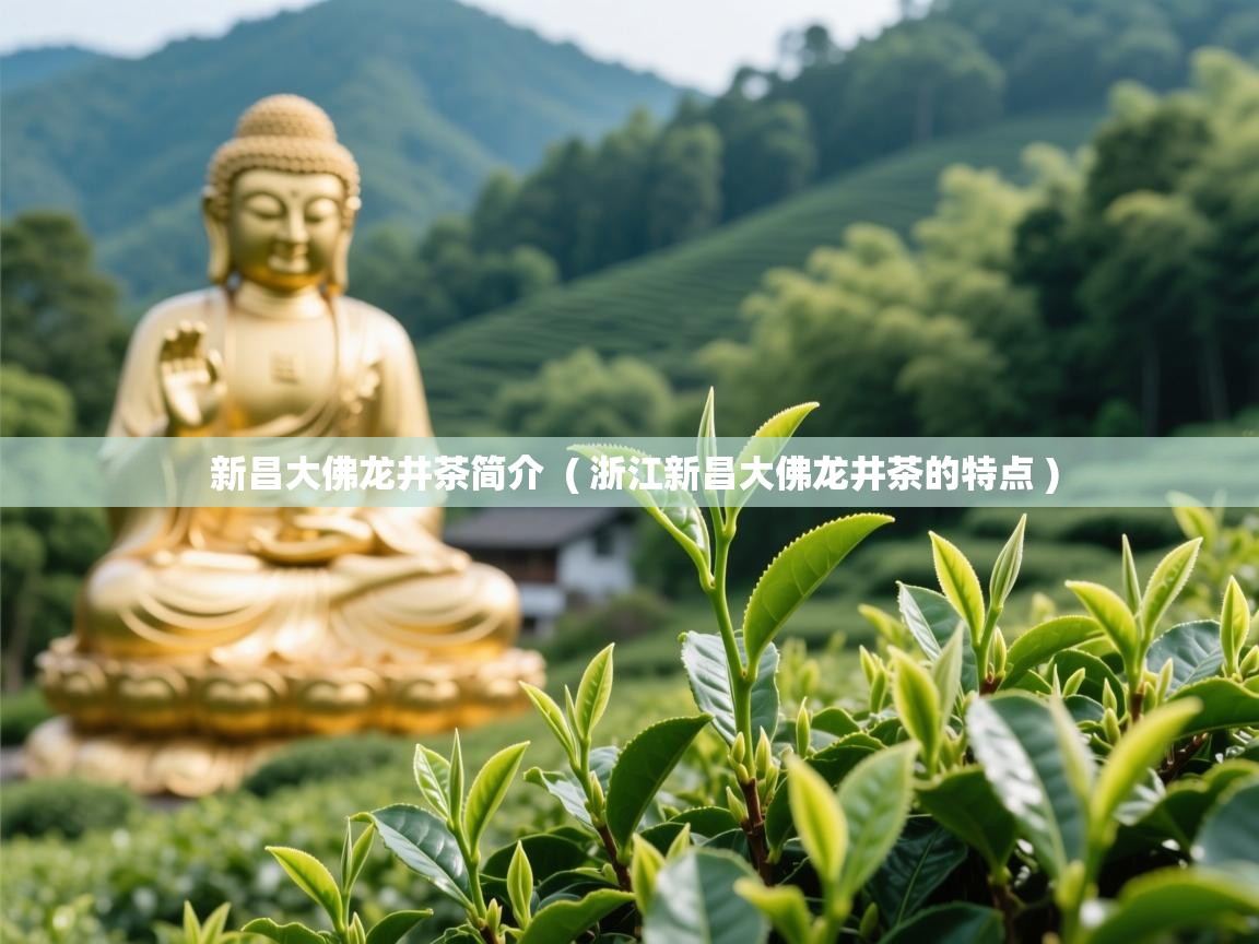  新昌大佛龙井茶简介  ( 浙江新昌大佛龙井茶的特点 )