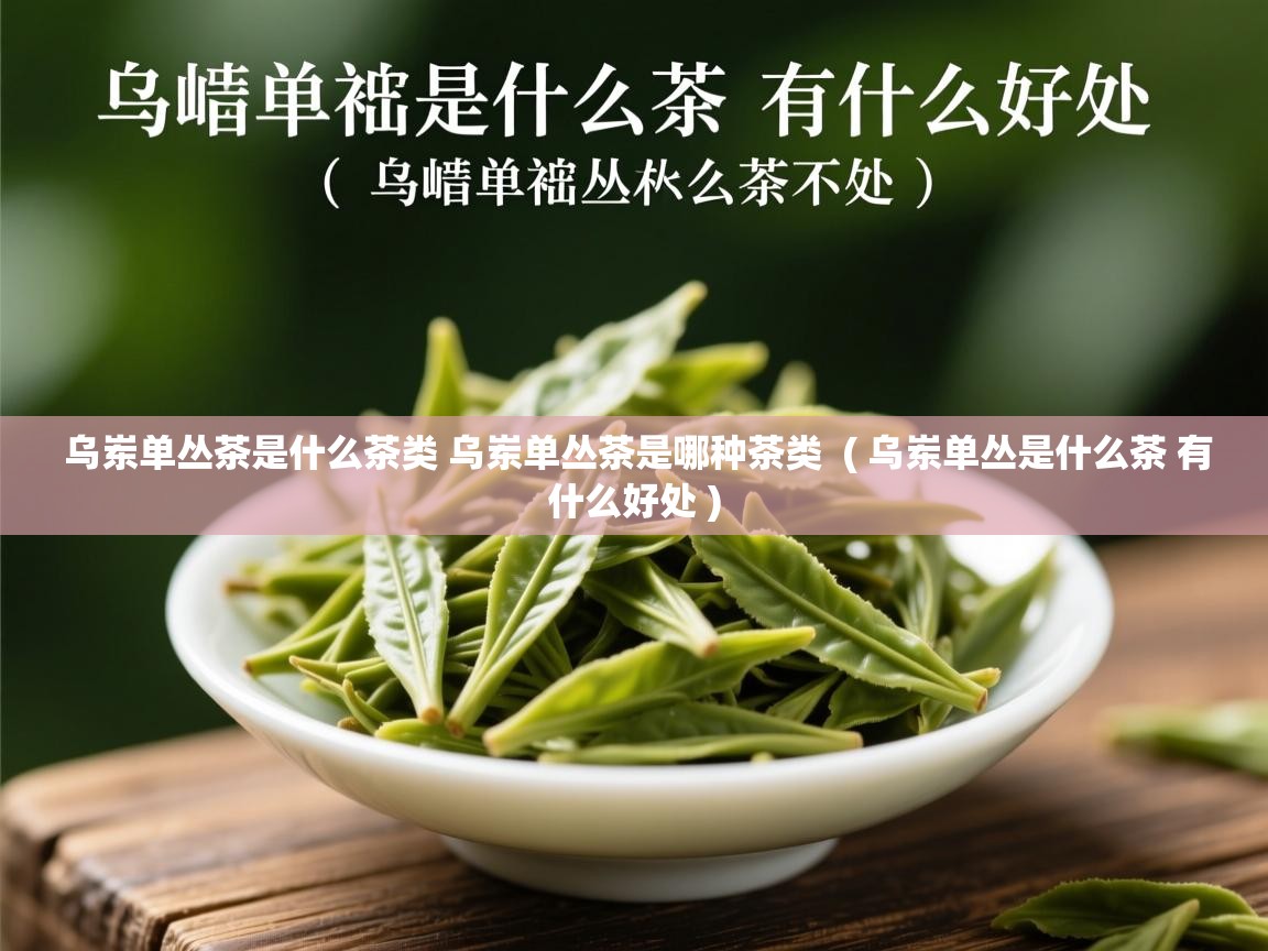 详细阅读: 乌岽单丛茶是什么茶类 乌岽单丛茶是哪种茶类  ( 乌岽单丛是什么茶 有什么好处 )  乌岽单丛茶是什么茶类 乌岽单丛茶是哪种茶类  ( 乌岽单丛是什么茶 有什么好处 )