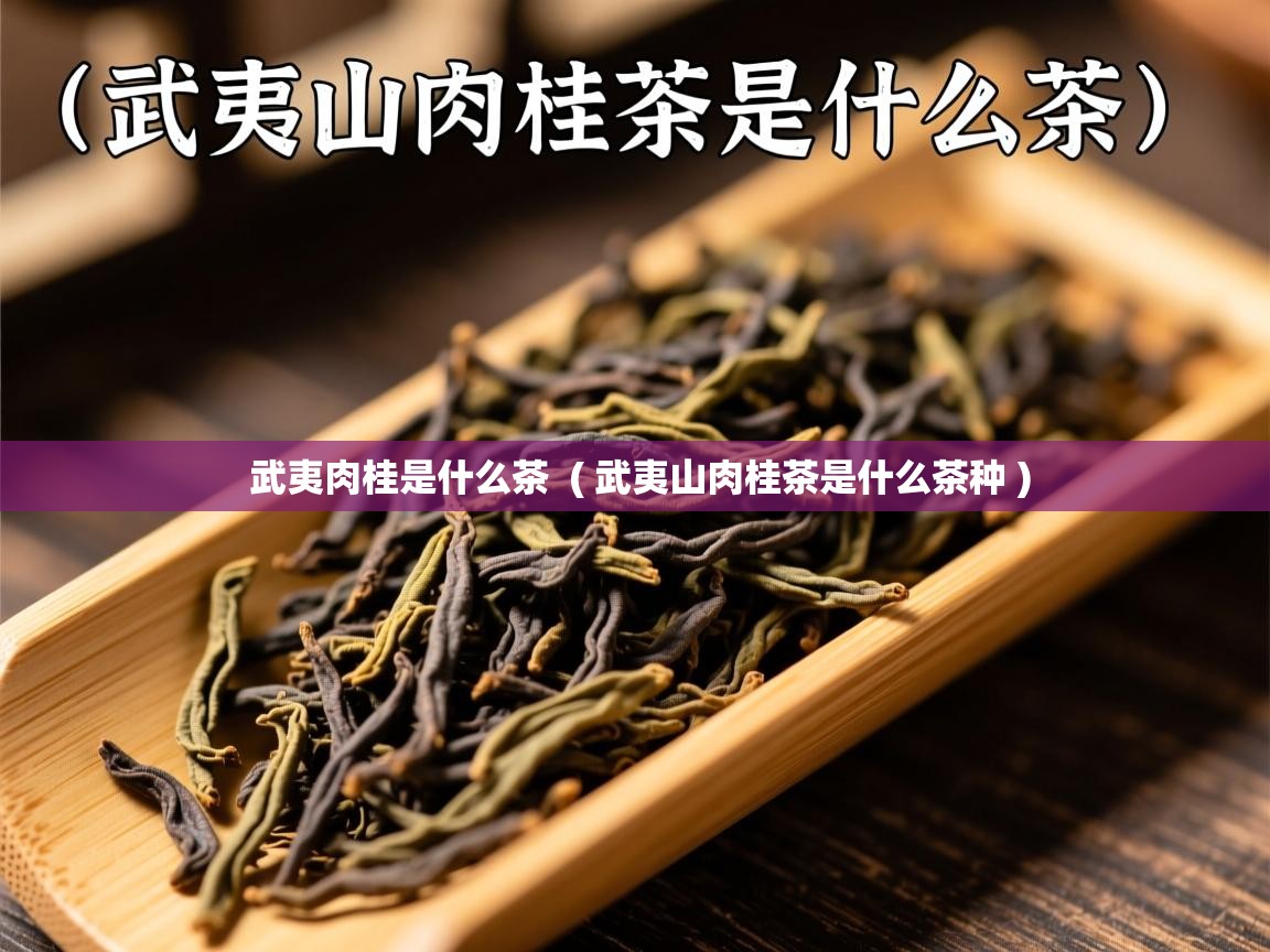  武夷肉桂是什么茶  ( 武夷山肉桂茶是什么茶种 )