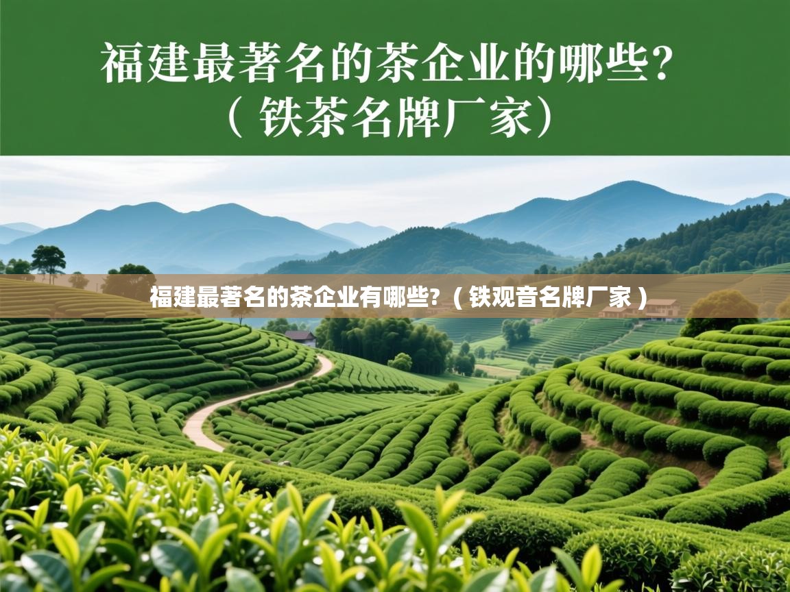  福建最著名的茶企业有哪些?  ( 铁观音名牌厂家 )