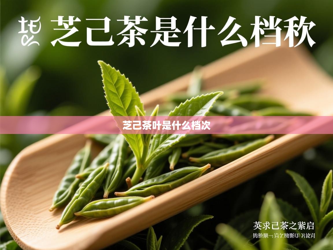  芝己茶叶是什么档次 