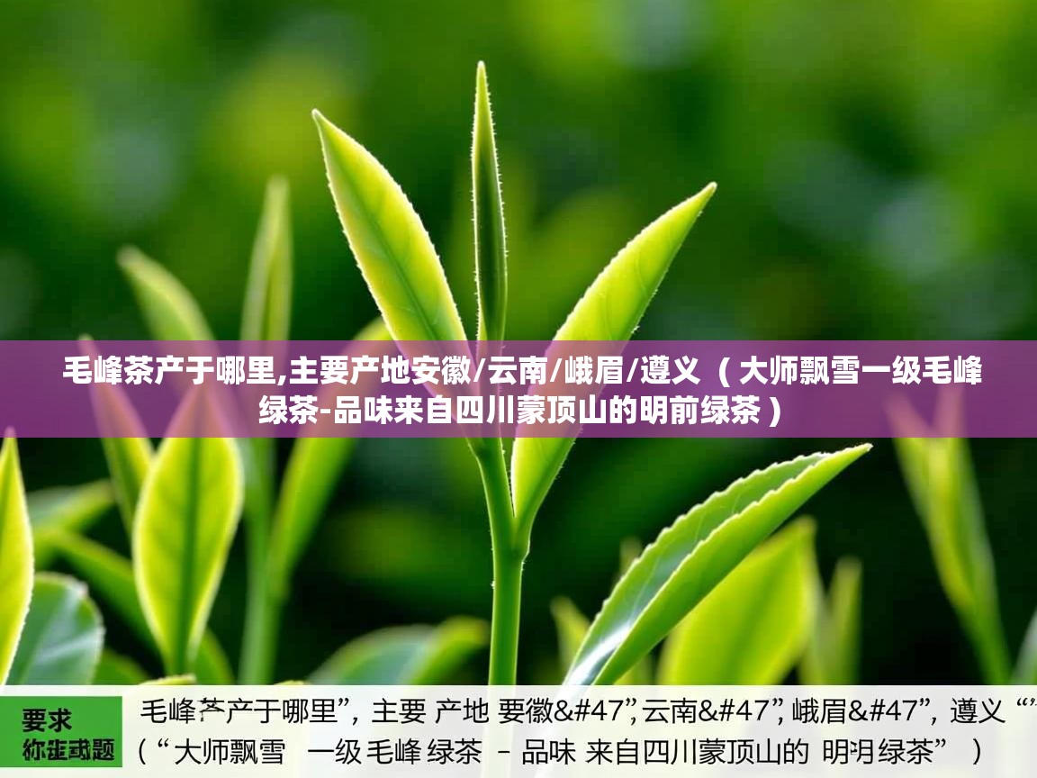  毛峰茶产于哪里,主要产地安徽/云南/峨眉/遵义  ( 大师飘雪一级毛峰绿茶-品味来自四川蒙顶山的明前绿茶 )