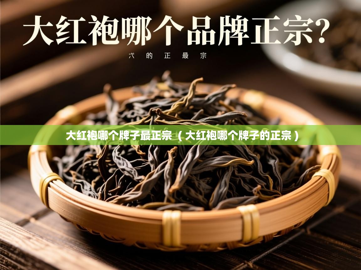  大红袍哪个牌子最正宗  ( 大红袍哪个牌子的正宗 )