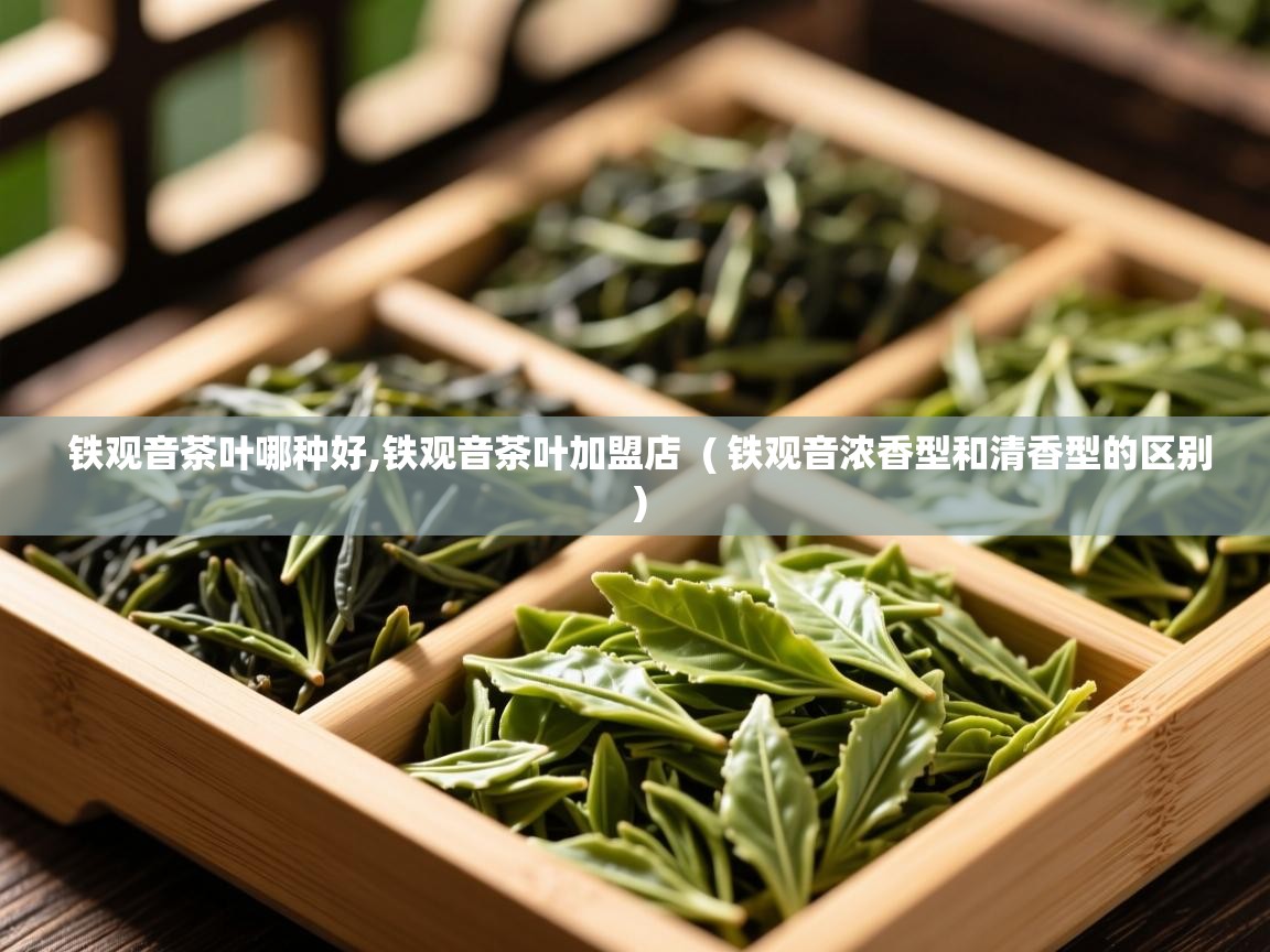  铁观音茶叶哪种好,铁观音茶叶加盟店  ( 铁观音浓香型和清香型的区别 )