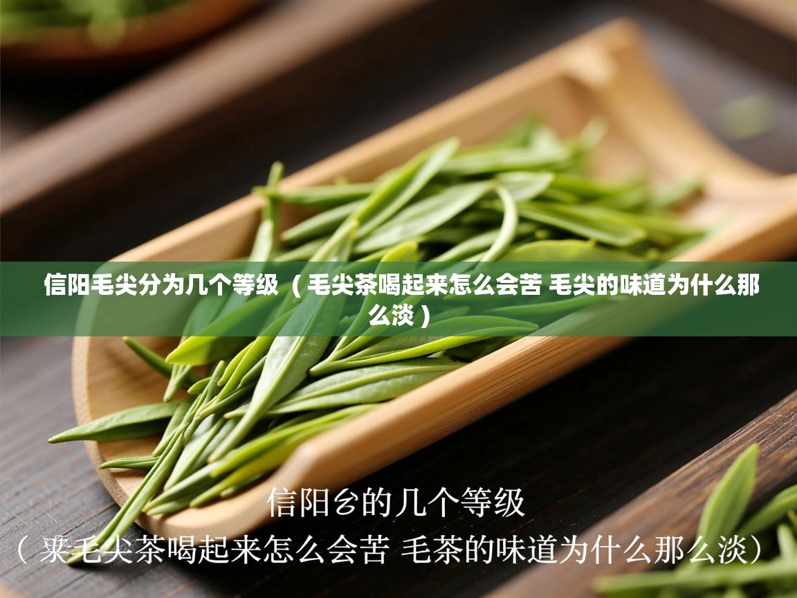  信阳毛尖分为几个等级  ( 毛尖茶喝起来怎么会苦 毛尖的味道为什么那么淡 )