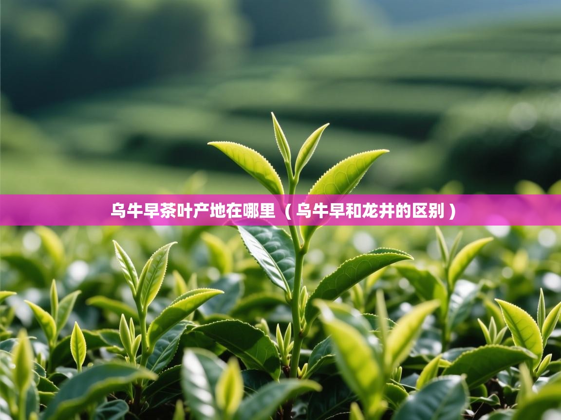  乌牛早茶叶产地在哪里  ( 乌牛早和龙井的区别 )
