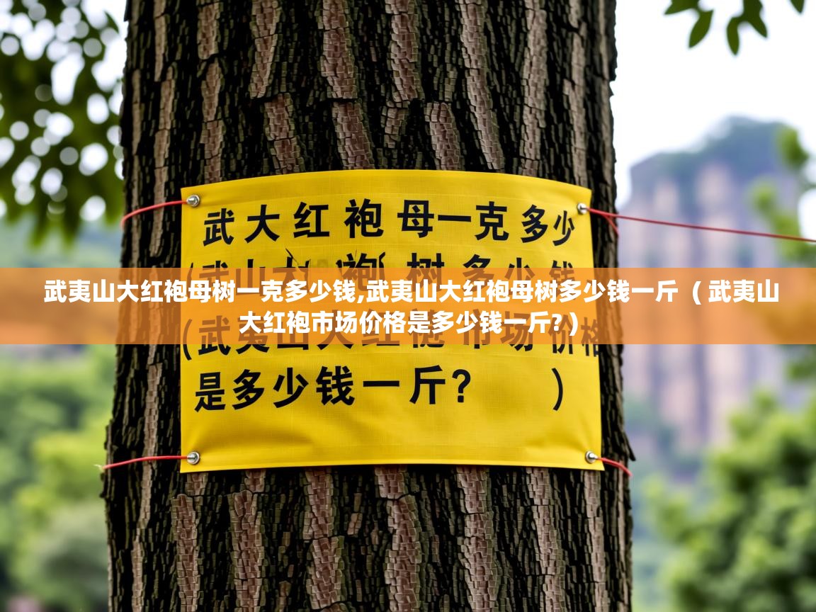  武夷山大红袍母树一克多少钱,武夷山大红袍母树多少钱一斤  ( 武夷山大红袍市场价格是多少钱一斤? )
